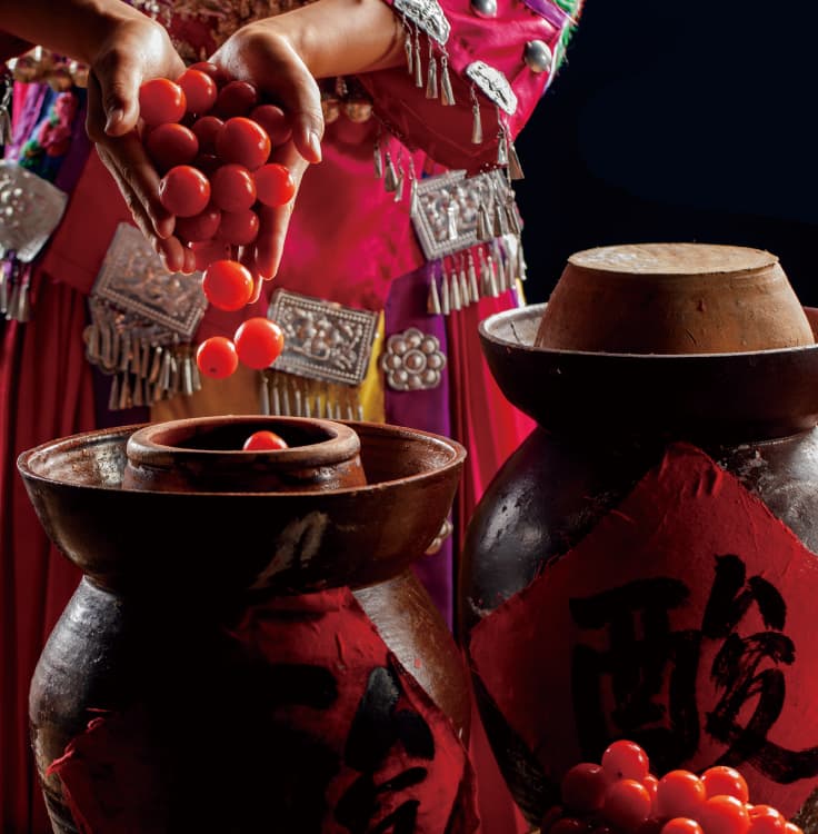 Tomato-based fermented hot pot broth ready to serve