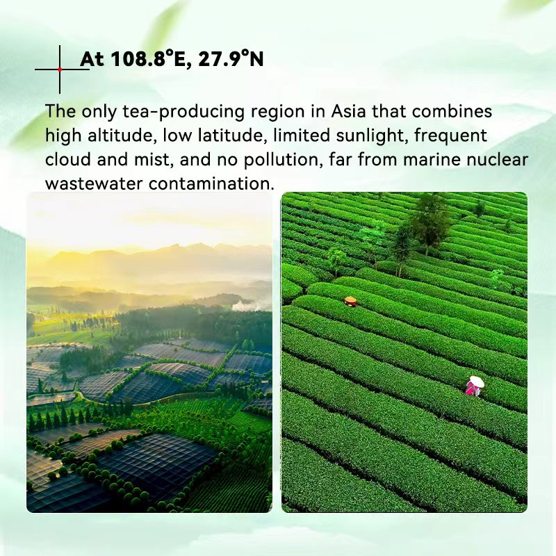 6eec3ba41b8a08b9025af1d64d83a634