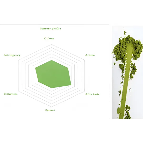 Culinary Matcha-Matcha #C