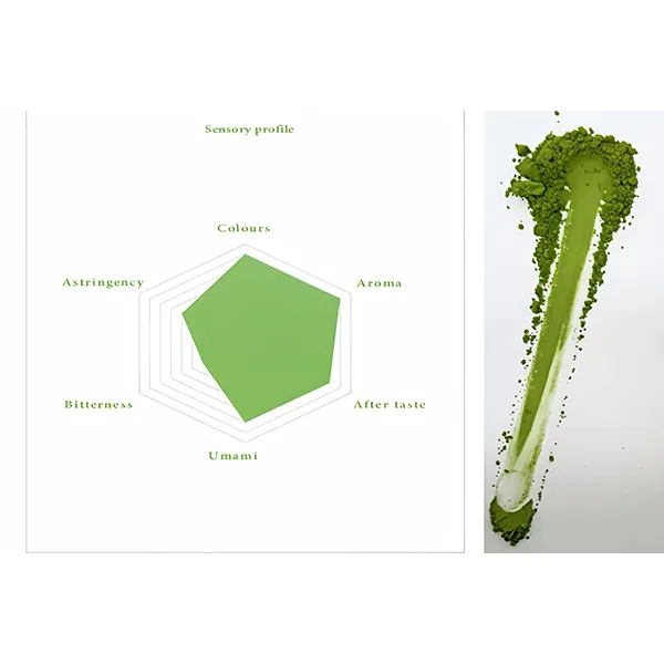 Premium Matcha -Matcha #S1