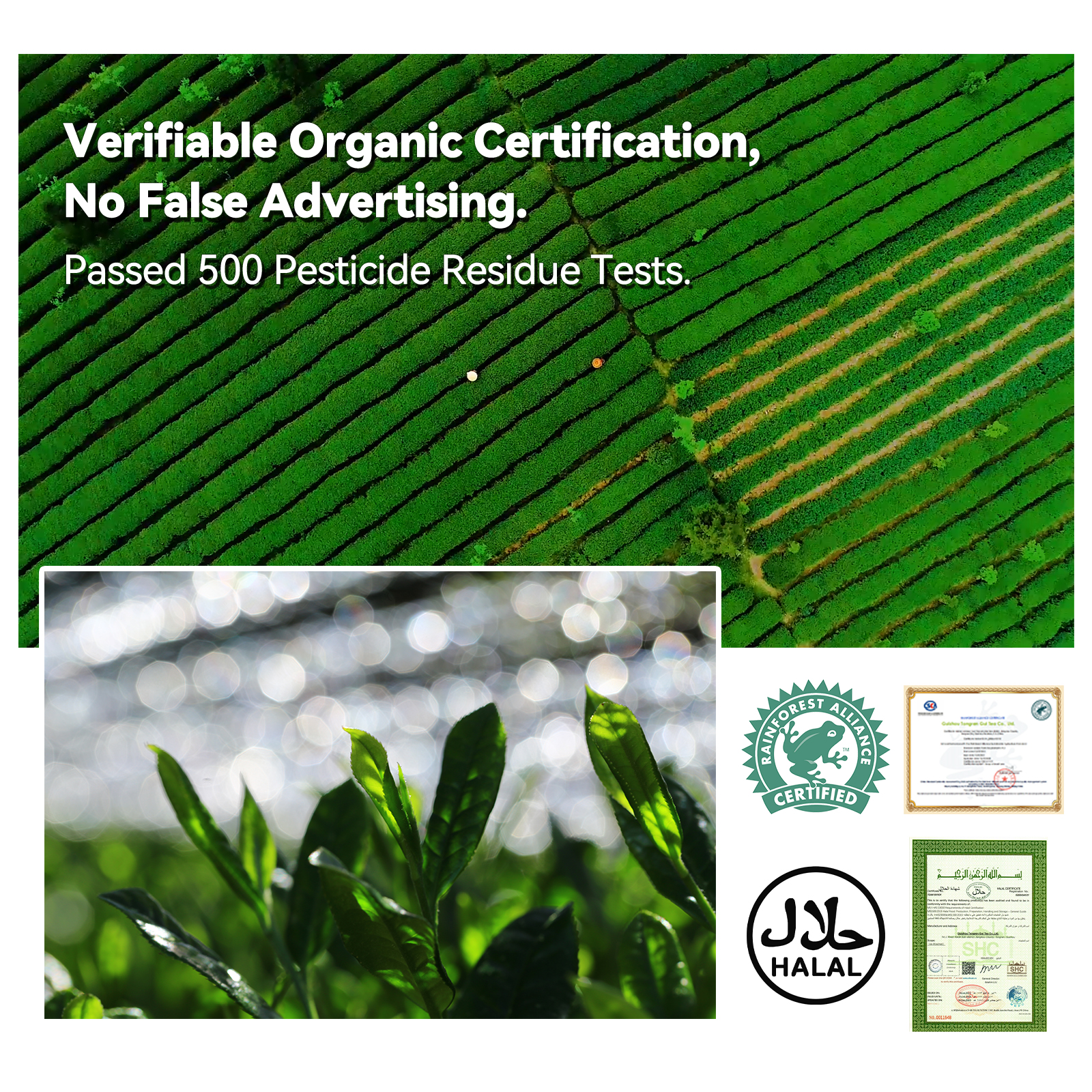 a43329a79c9677f31d744cf5e8d64f19