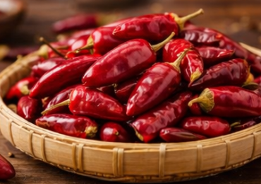 66ab63293fe761257a52a1758b5bc706