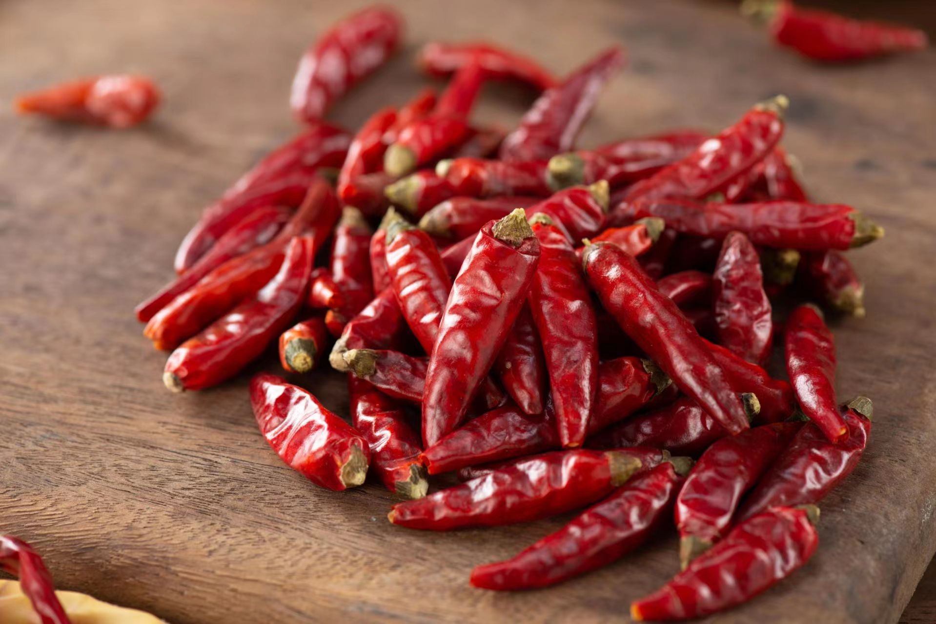 bc6722c63173f555abc3ebf26e17a261